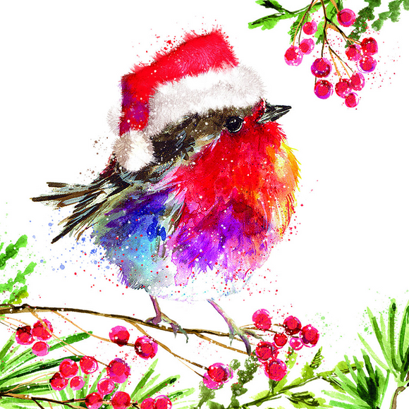 Fluffy Robin and Berries Christmas Card