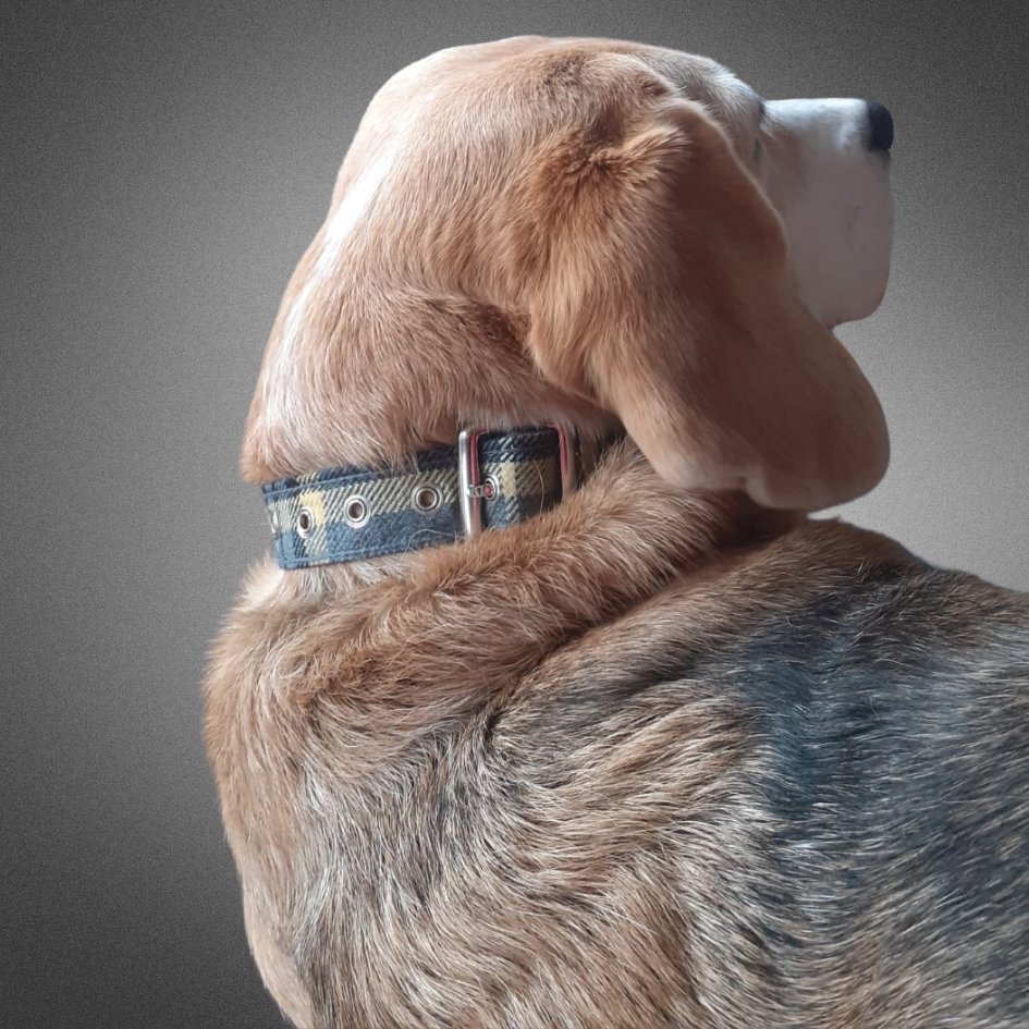 Bespoke dog collars outlet