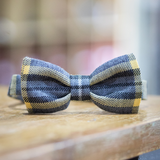 Beatson Cancer Charity: Tartan Bow Tie