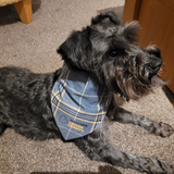 Beatson Cancer Charity: Tartan Dog Bandana (2 sizes available)