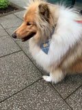 Beatson Cancer Charity: Tartan Dog Bandana (2 sizes available)