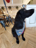 Beatson Cancer Charity: Tartan Dog Bandana (2 sizes available)