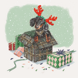 Christmas Wish