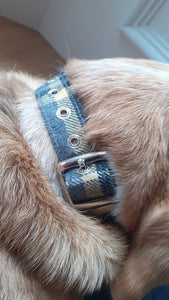 Beatson Cancer Charity: Bespoke Tartan Dog Collar