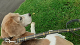 Beatson Cancer Charity: Bespoke Tartan Dog Lead