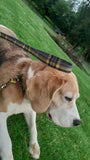 Beatson Cancer Charity: Bespoke Tartan Dog Lead